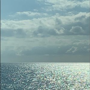 Meet your Posher, Sofia